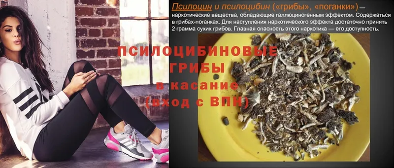 Псилоцибиновые грибы Magic Shrooms  где можно купить   Невинномысск 